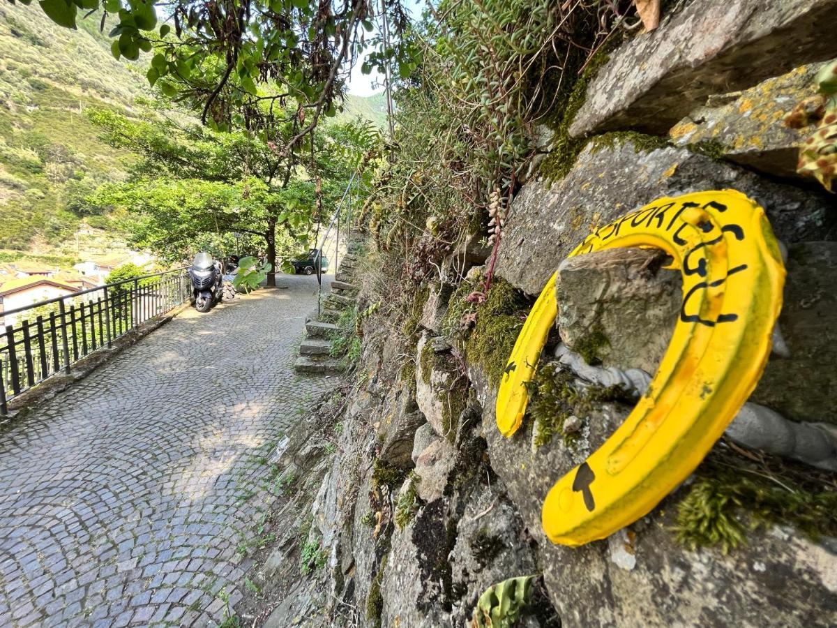 Villa Alloggio U Sportegu Da E Monti A Giaia Badalucco Exterior foto